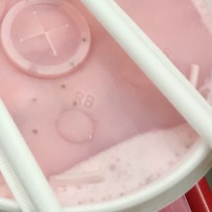 Meet your Posher, Angelina